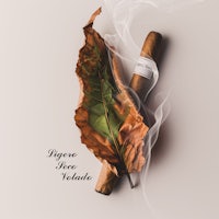 a cigar and leaf on a white background